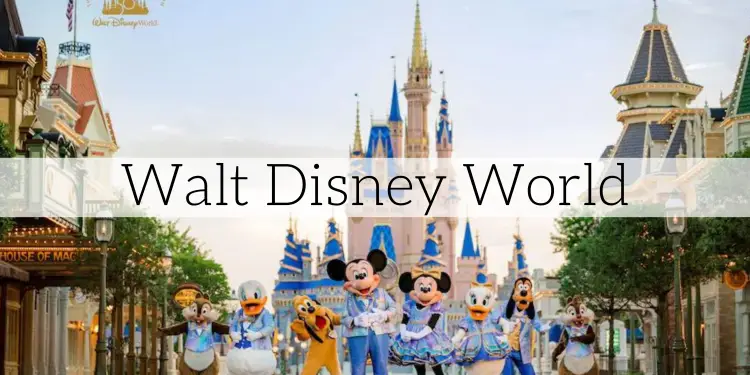 No Obligation Price Quote for Walt Disney World Resort