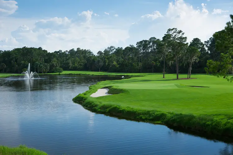 Disney's Palm Golf Course